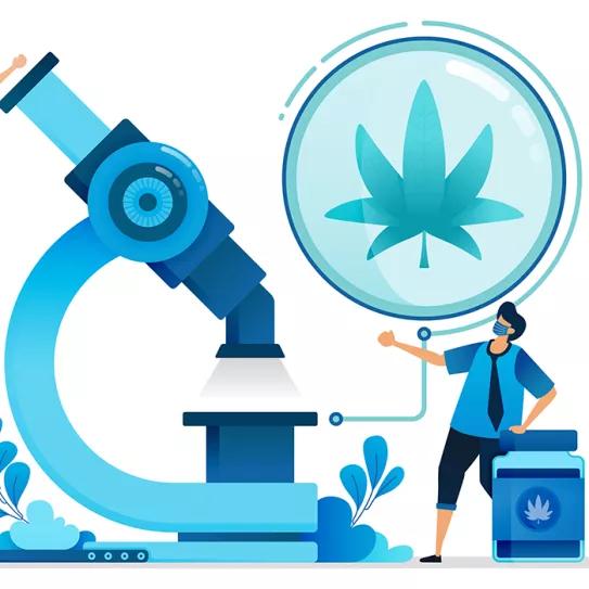 EE UU vota una ley para facilitar la investigación con cannabis