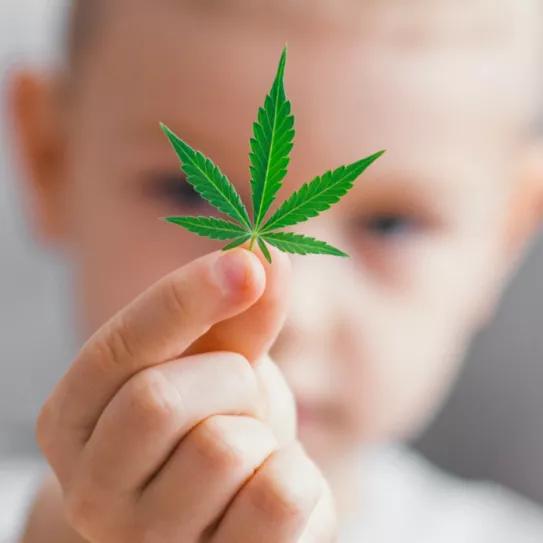 El cannabis reduce el 97% de las crisis epilépticas en un estudio con niños y adolescentes