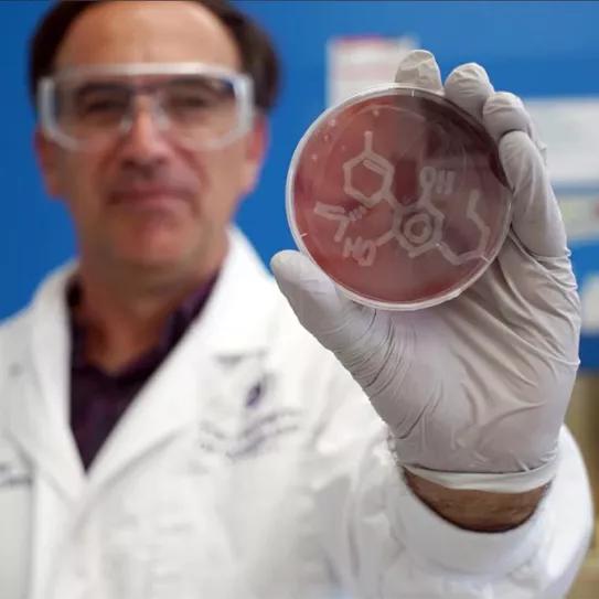 El CBD podría ser una solución contra las bacterias resistentes a antibióticos