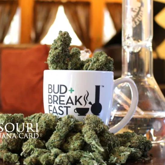 Un proyecto de ley para consumir cannabis medicinal en hoteles de Missouri 