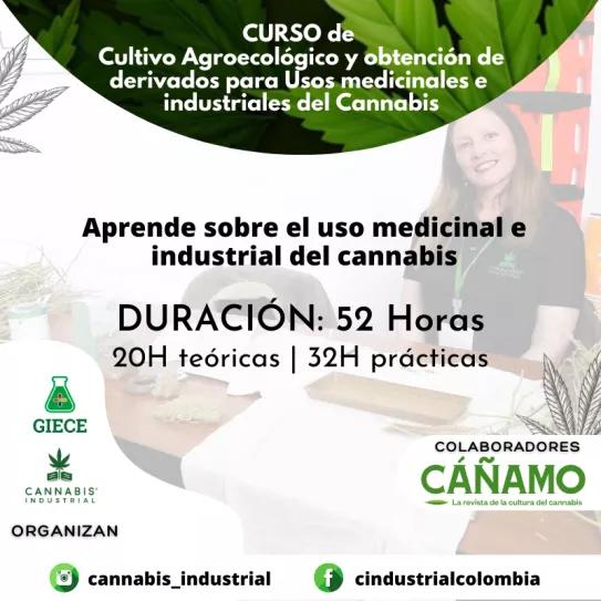 Curso de cultivo y obtención de derivados para usos medicinales e industriales del cannabis