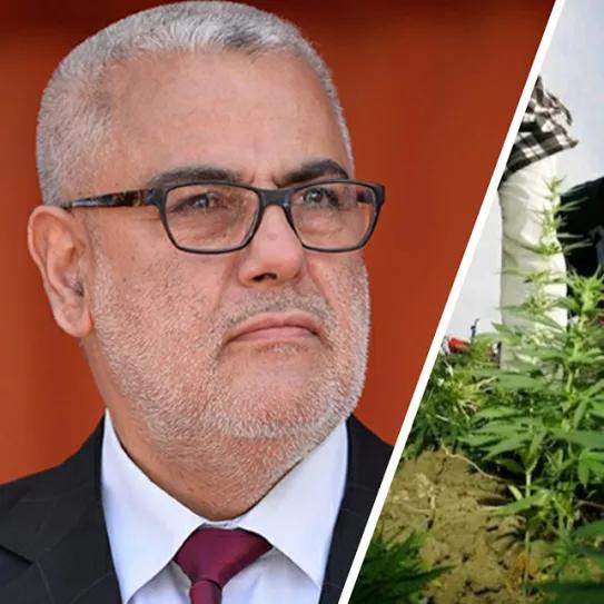 El proyecto marroquí de regulación provoca recelo entre los campesinos y disputas políticas
