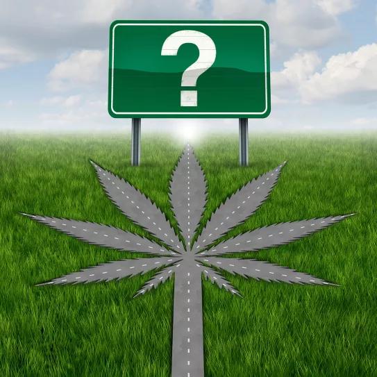 El Senado mexicano pide (de nuevo) una prórroga para aprobar la regulación del cannabis