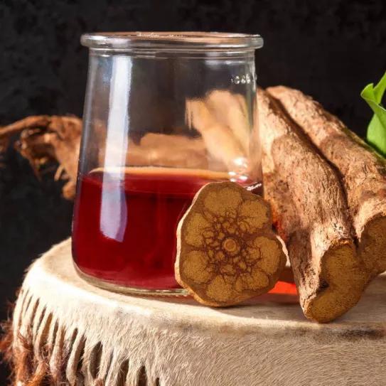 Una jueza absuelve a un hombre detenido por importar ayahuasca y dice que no es una sustancia fiscalizada