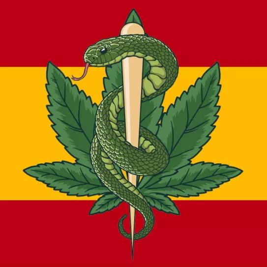 Claves para saber qué puede pasar con el futuro del cannabis medicinal en España (I: Los posibles desastres)