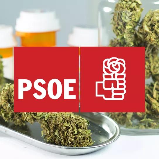 La postura del PSOE ante la subcomisión de estudio del cannabis medicinal