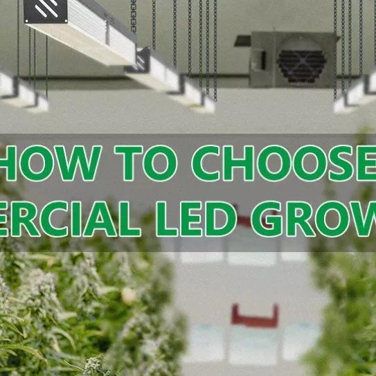 Cómo elegir una luminaria de cultivo LED comercial