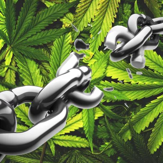 La Fiscal del Bronx archiva 6000 causas de delitos por marihuana