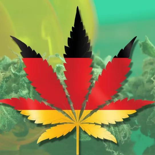 Los pacientes alemanes ya tienen acceso a cannabis cultivado en Alemania 