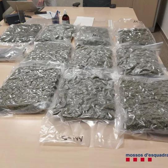 Una señora recibe un paquete de marihuana de un joven traficante por error y la policía lo apresa