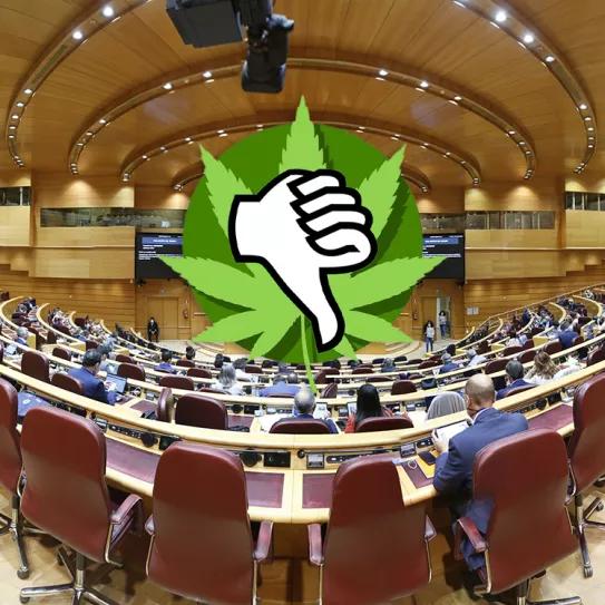 PSOE, PP y VOX rechazan la proposición de ley para regular el autocultivo de cannabis y los clubs en España