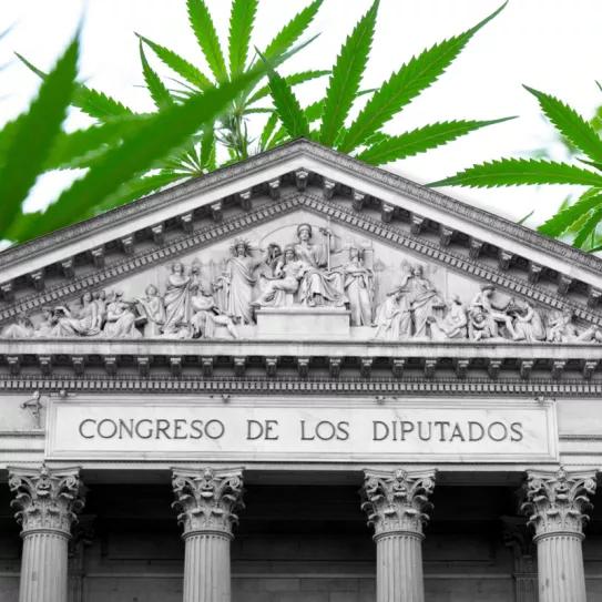 El cannabis ha llegado al Congreso español para quedarse