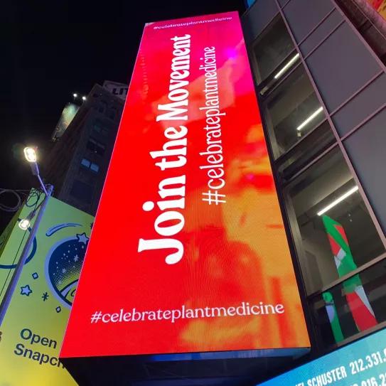 Los psicodélicos llegan a las pantallas de Times Square