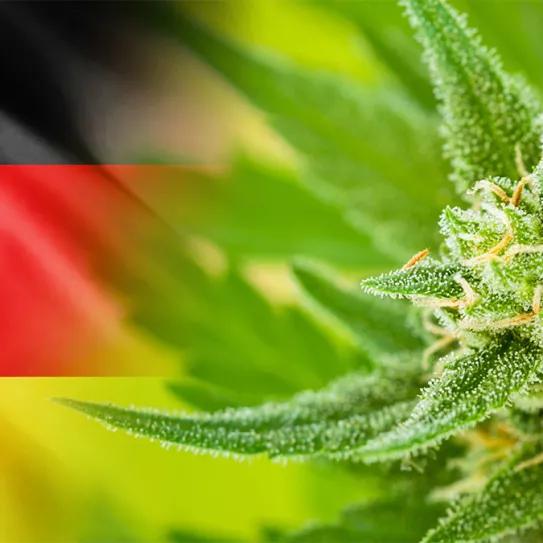 Alemania se acerca a una posible regulación del cannabis recreativo