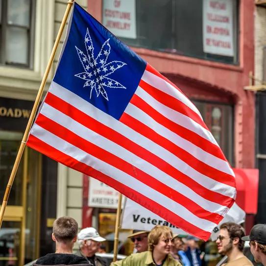 https://news.gallup.com/poll/356939/support-legal-marijuana-holds-record-high.aspx