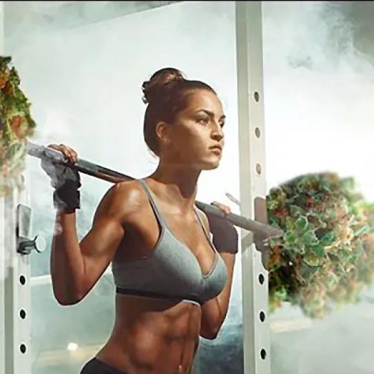 Los usuarios de cannabis tienen igual o mayor fuerza muscular que los no consumidores, sugiere un estudio