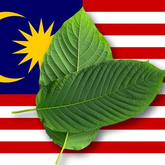 Malasia revisará su legislación para permitir el uso medicinal del cannabis y el kratom