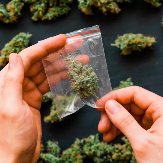 Israel despenaliza la posesión de cannabis y permitirá eliminar antecedentes penales