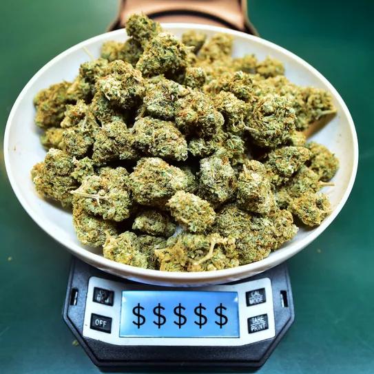 Arizona ingresa más dinero por marihuana que por tabaco y alcohol