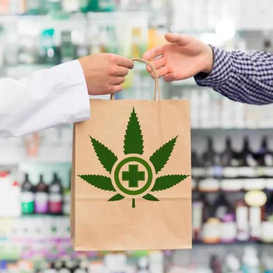 El cannabis medicinal tardará más de seis meses en llegar a las farmacias españolas