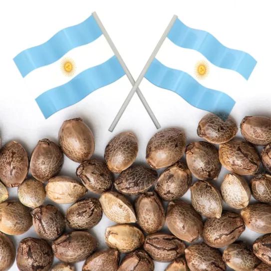 Argentina legaliza las semillas de cannabis