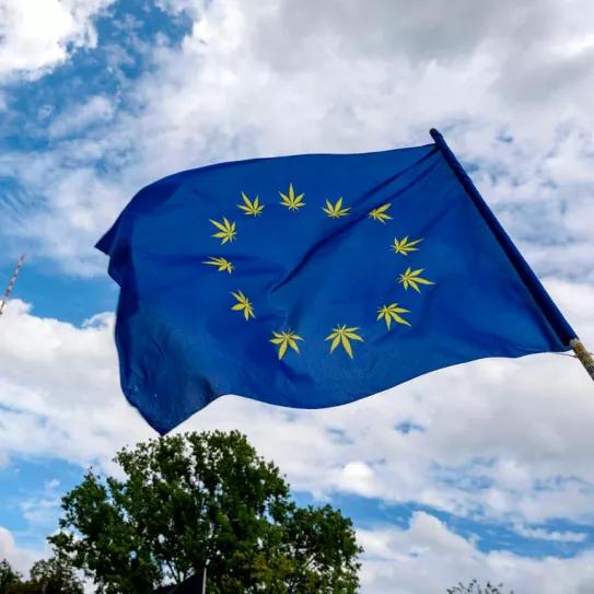 Eurodiputados se unen por la legalización del cannabis en Europa