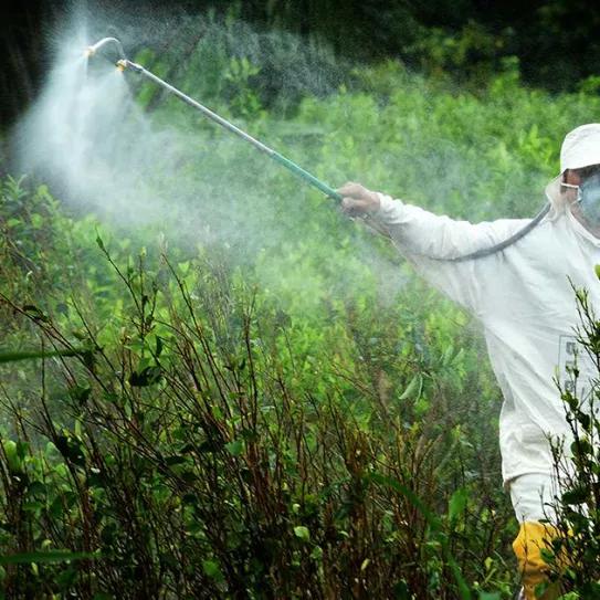 Colombia detiene las fumigaciones de cultivos de coca