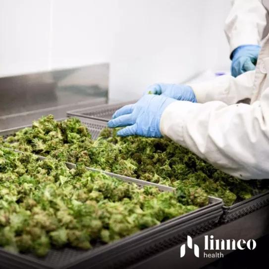 Linneo Health 