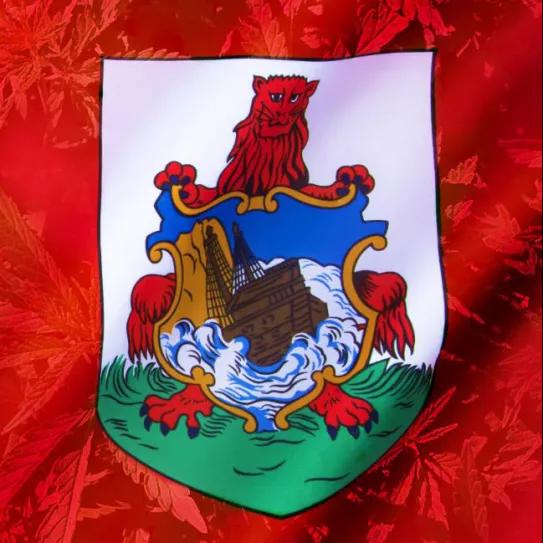 Reino Unido bloquea la legalización del cannabis en Bermudas
