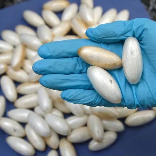 Guayana aplica una despenalización para el tráfico de cocaína 