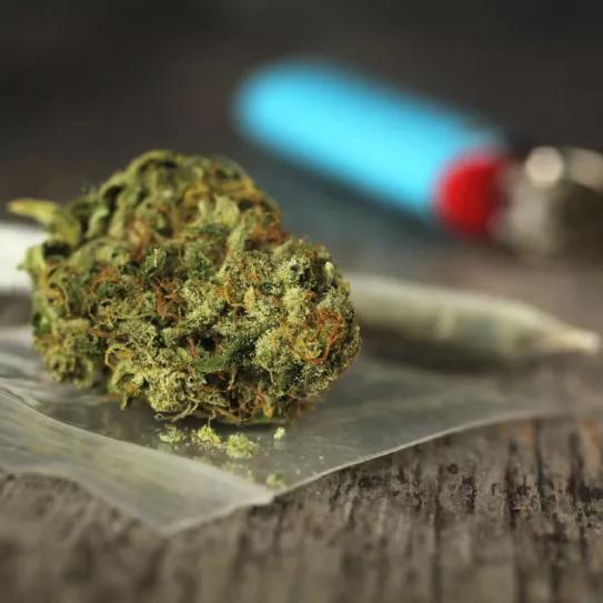 La ley para despenalizar el cannabis llega al parlamento de Irlanda