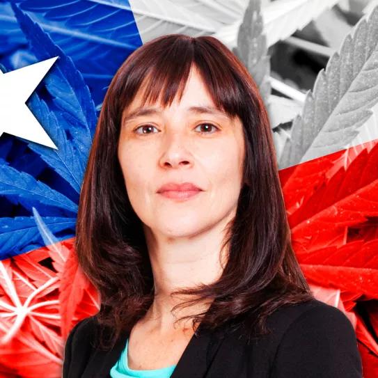 Chile estudiará la legalización de la marihuana a partir de enero