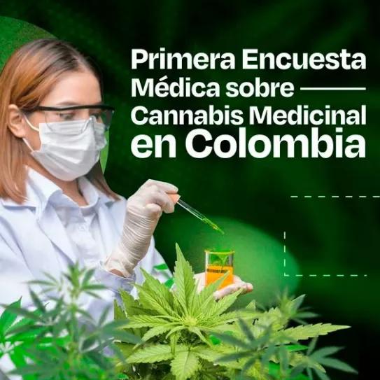 Observatorio Colombiano de la Industria del Cannabis