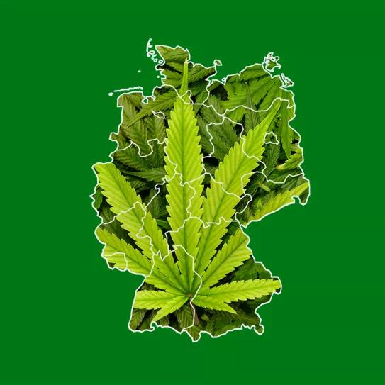 Alemania plantea retrasar la legalización de la venta de cannabis y priorizar la despenalización 