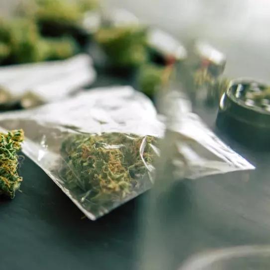 Alemania envía su ley del cannabis a la UE y confía en su aprobación 