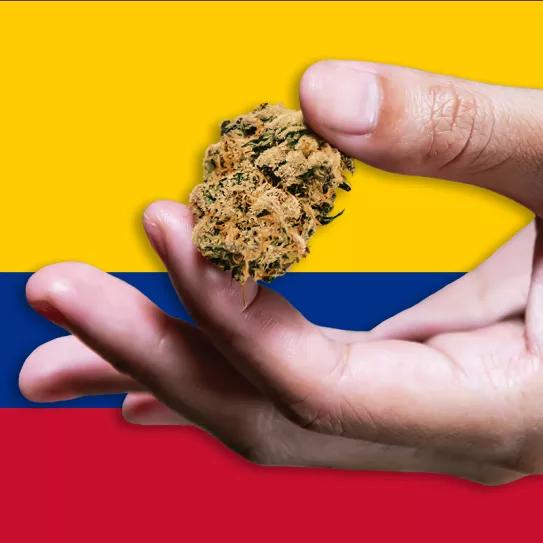 La legalización del cannabis en Colombia avanza un paso más