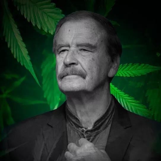 El Gobierno de México carga contra el expresidente Fox por licencias de cannabis ilícitas