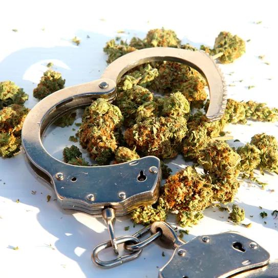 El olor a marihuana ya no será motivo de registro policial en Maryland (si se firma esta ley)