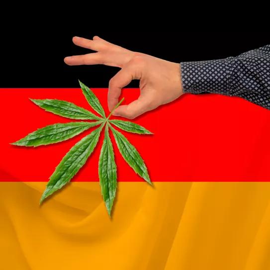 Se ha filtrado la ley para legalizar la marihuana en Alemania: esta es la polémica