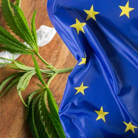 ¿Qué países de la Unión Europea han legalizado el uso lúdico de cannabis?