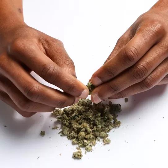 El parlamento de Ghana legaliza el cultivo de cannabis para fines medicinales e industriales