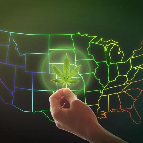 Estos son los estados de EE UU que han legalizado el cannabis este año
