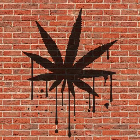 El cannabis y el nuevo gobierno - Editorial Cáñamo 309