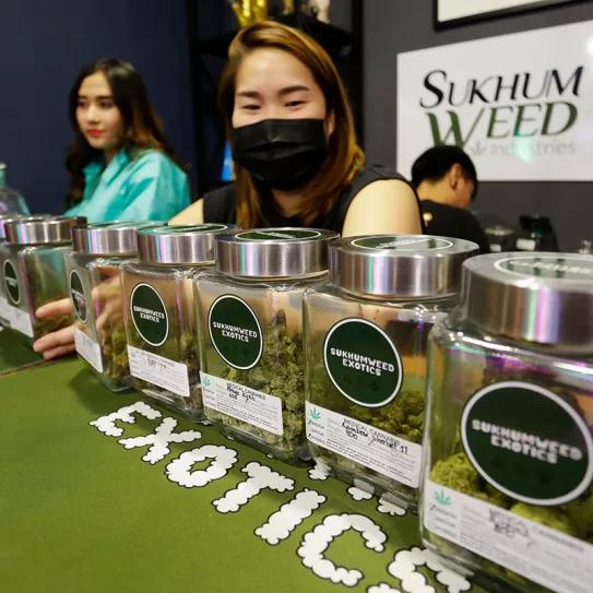 Tailandia prepara una ley para restringir la legalización del cannabis