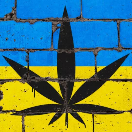 La legalización del cannabis medicinal en Ucrania se atasca por 200 enmiendas