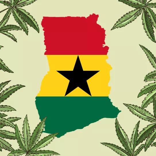 Legalizar la yerba en Ghana: una lucha contra los idiotas