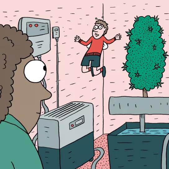 Diez trucos para automatizar un cultivo de interior