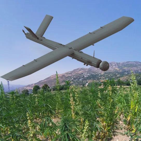 Marruecos utilizará drones para controlar los cultivos de cannabis autorizados