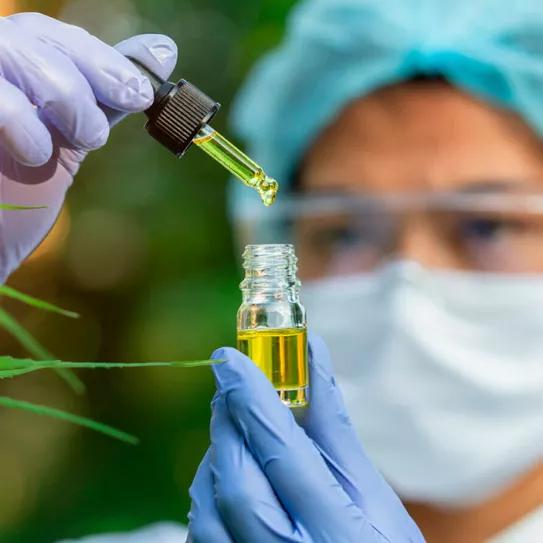 Brasil: aprueban el primer medicamento con THC