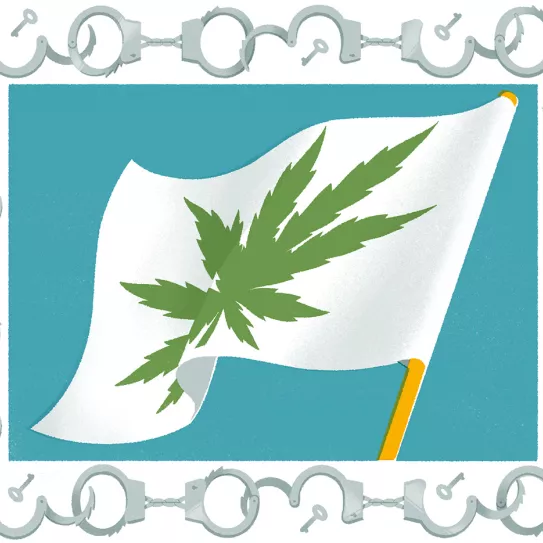 En el caso de que se produjera una legalización del cannabis, ¿se anularían todas las causas por cultivo de marihuana? 